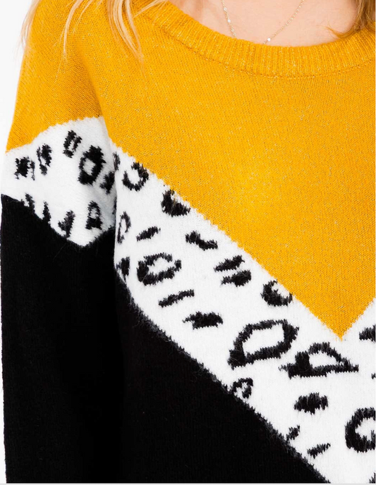 Cheetah Sweater